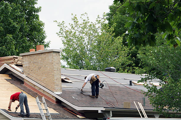 Best Roof Repair Services  in Divernon, IL
