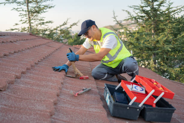 Best Roof Gutter Cleaning  in Divernon, IL