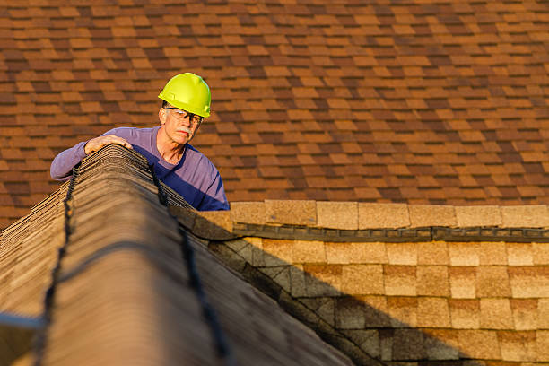 Best Roof Inspection Near Me  in Divernon, IL